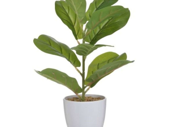 Διακοσμητικό Φυτό Σε Γλάστρα 3-85-475-0268 Φ10x33cm Green-White Inart Πλαστικό