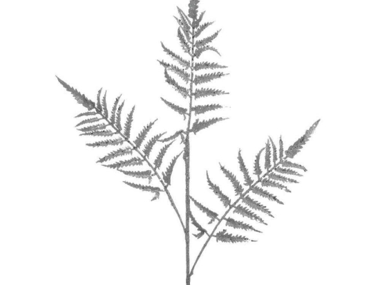 Κλαδί/Φυτό 2-85-084-0310 82cm Silver Inart