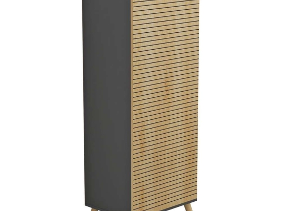 Παπουτσοθήκη - Ντουλάπι Alvaro HM8954.15 50x38x135cm Anthracite-Natural Μελαμίνη
