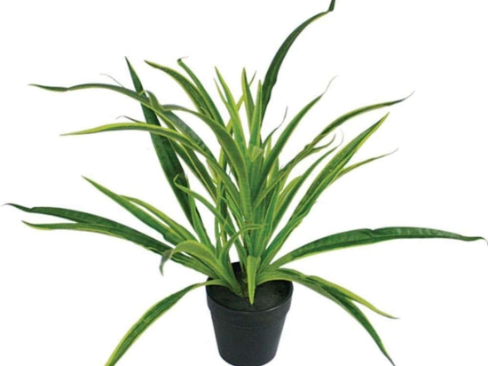 Τεχνητό Φυτό Σε Γλαστράκι Αράχνη 04-00-16058 43cm Green Marhome Πλαστικό