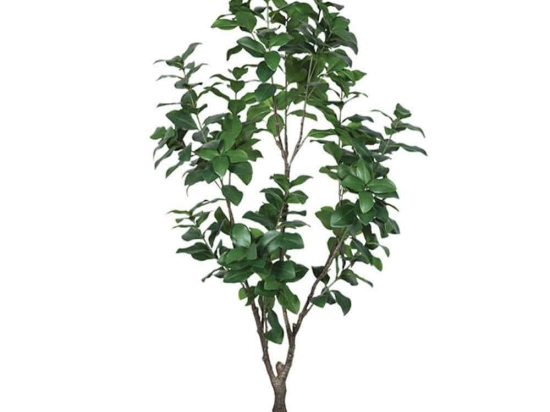Τεχνητό Δέντρο Δάφνη 04-00-24119 152cm Brown-Green Marhome Πλαστικό