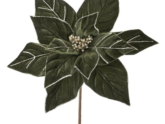 Λουλούδι - Κλαδί Αλεξανδρινό  79221 25x30cm Green