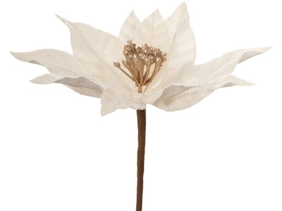 Κλαδί Πικ Αλεξανδρινό 86332 23x35cm Cream