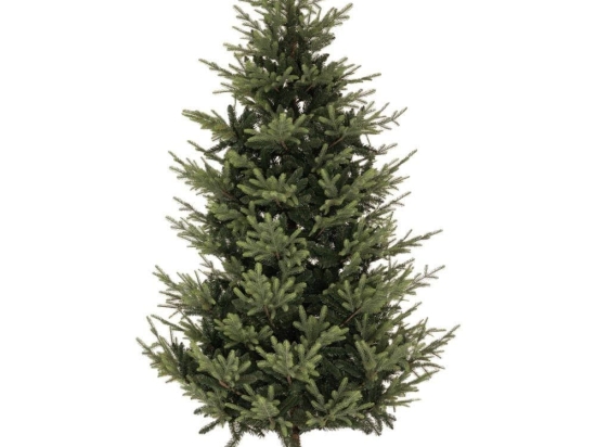 Χριστουγεννιάτικο Δέντρο Natural 86701 240cm (3423tips) Green