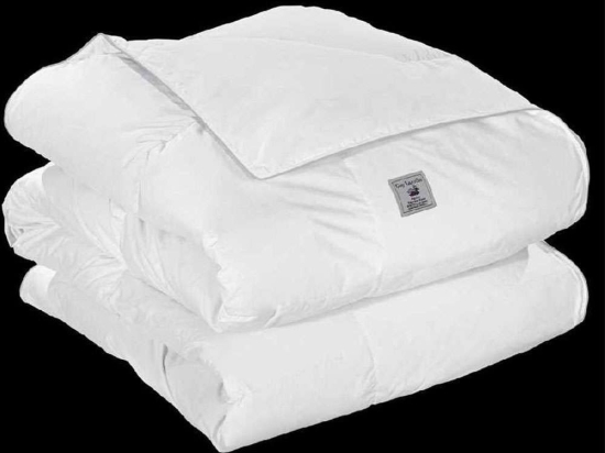 Πάπλωμα Natura White Guy Laroche Queen Size 220x240cm Πούπουλο-Φτερό