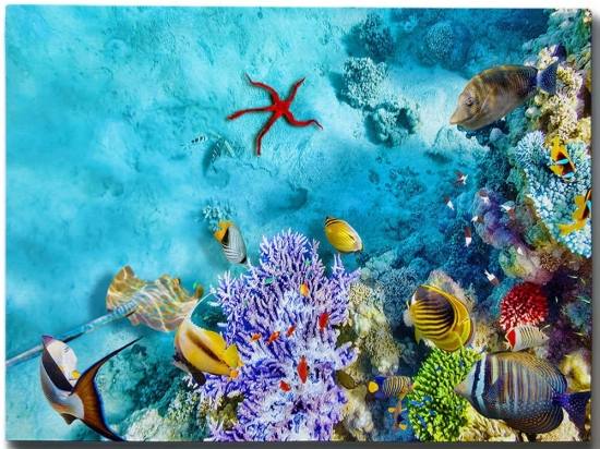 Πίνακας Καμβάς 529TCR1265 70x50cm Multi Wallity Οριζόντιοι Ξύλο, Καμβάς