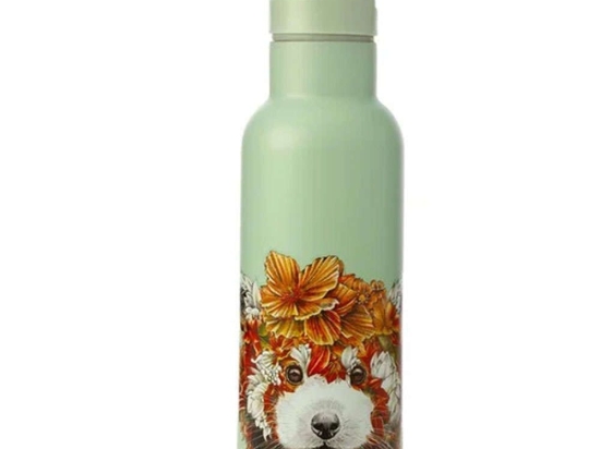 Ισοθερμικό Μπουκάλι Wild Planet Red Panda JR0139 500ml Multi-Green Maxwell&Williams
