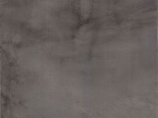 Χαλί Monaco 225 Silver Oval Obsession 160X200cm