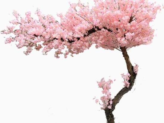 Τεχνητό Δέντρο Κερασιά Blossom NP0001_200 Ύψος 200cm Pink-Brown New Plan Πλαστικό, Ύφασμα