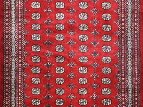 Χειροποίητο Χαλί Buhara Pakistan 240078 293X203 293X203cm