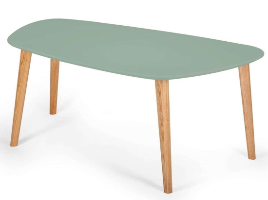 Τραπέζι Σαλονιού Endocarp ENDOCARPCT17 110x66x45cm Sage Green
