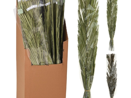 ΦΥΛΛΑ ARTELIBRE KHAJUR 95-100CM ΔΕΜΕΝΑ ΣΕ ΧΑΡΤΙΝΗ ΘΗΚΗ 36ΤΜΧ ΣΕ 3 ΠΟΙΚΙΛΙΕΣ