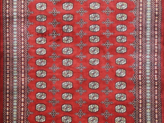 Χειροποίητο Χαλί Buhara Pakistan 253574 285X202 285X202cm