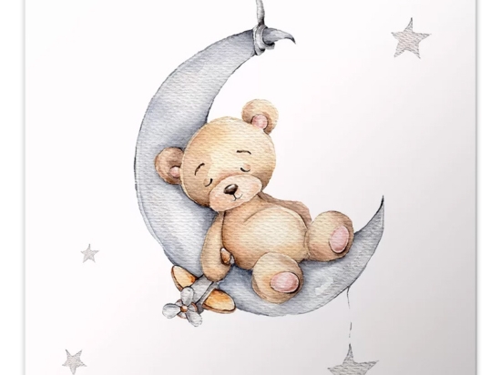 ΠΙΝΑΚΑΣ ΣΕ ΚΑΜΒΑ "BABY BEAR" MEGAPAP ΨΗΦΙΑΚΗΣ ΕΚΤΥΠΩΣΗΣ 40X40X3ΕΚ.