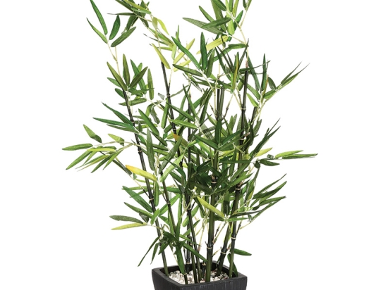 ΦΥΤΟ ΣΕ ΓΛΑΣΤΡΑ GREEN PAKOWORLD 43X34X67ΕΚ
