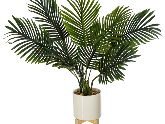 ΦΥΤΟ ΣΕ ΓΛΑΣΤΡΑ GREEN4  PAKOWORLD 83X75X65ΕΚ