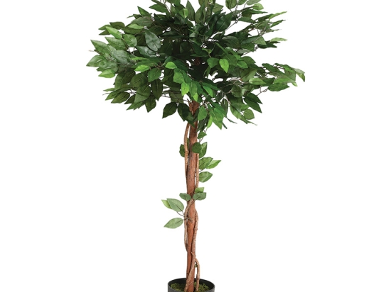 ΦΥΤΟ ΣΕ ΓΛΑΣΤΡΑ GREEN8 PAKOWORLD 45X45X120ΕΚ