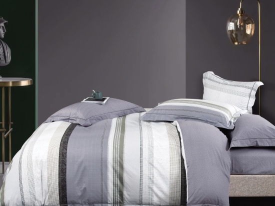 Borea Παπλωματοθήκη Εμπριμέ Σετ Linen Υπέρδιπλη 220 x 240 cm + (2) 50 x 70 cm Γκρι