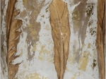 ΚΗΡΟΠΗΓΙΟ ARTELIBRE ΦΤΕΡΑ ΧΡΥΣΟ ΓΥΑΛΙ 15X15X15CM