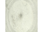 ΤΡΑΠΕΖΑΚΙ ARTELIBRE ΠΟΛΥΧΡΩΜΟ ΜΕΤΑΛΛΟ 41X41X50.5CM ΣΕΤ 3ΤΜΧ
