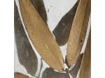 ΚΗΡΟΠΗΓΙΟ ARTELIBRE ΔΙΑΦΑΝΟ ΓΥΑΛΙ 7X7X10CM