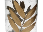 ΚΗΡΟΠΗΓΙΟ ARTELIBRE ΔΙΑΦΑΝΟ ΓΥΑΛΙ 10X10X10CM