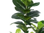 ΔΙΑΚΟΣΜΗΤΙΚΟ ΦΥΤΟ FIDDLEHEAD ΣΕ ΓΛΑΣΤΡΑ INART ΠΡΑΣΙΝΟ PP Υ120ΕΚ