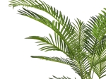 ΔΙΑΚΟΣΜΗΤΙΚΟ ΦΥΤΟ ARECA Ι ΣΕ ΓΛΑΣΤΡΑ INART ΠΡΑΣΙΝΟ PP Υ120ΕΚ