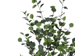 ΔΙΑΚΟΣΜΗΤΙΚΟ ΦΥΤΟ EUCALYPTUS Ι ΣΕ ΓΛΑΣΤΡΑ INART ΠΡΑΣΙΝΟ PP Υ150ΕΚ