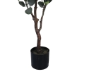 ΔΙΑΚΟΣΜΗΤΙΚΟ ΦΥΤΟ EUCALYPTUS Ι ΣΕ ΓΛΑΣΤΡΑ INART ΠΡΑΣΙΝΟ PP Υ150ΕΚ
