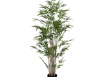 ΔΙΑΚΟΣΜΗΤΙΚΟ ΦΥΤΟ BAMBOO I ΣΕ ΓΛΑΣΤΡΑ INART ΠΡΑΣΙΝΟ PP Υ150ΕΚ