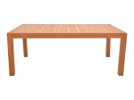 ΤΡΑΠΕΖΙ VOCALY PAKOWORLD TEAK ΞΥΛΟ ΣΕ ΦΥΣΙΚΗ ΑΠΟΧΡΩΣΗ 200X100X75ΕΚ