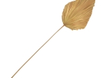 ΔΙΑΚΟΣΜΗΤΙΚΟ ΦΥΛΛΟ WALSY INART PALM LEAF ΣΕ ΦΥΣΙΚΗ ΑΠΟΧΡΩΣΗ Υ135 ΕΚ