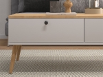 ΤΡΑΠΕΖΑΚΙ ΣΑΛΟΝΙΟΥ ALIS MEGAPAP ΧΡΩΜΑ ΛΕΥΚΟ - OAK 110X50X40ΕΚ.