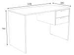 ΓΡΑΦΕΙΟ ΕΡΓΑΣΙΑΣ KADA MEGAPAP ΧΡΩΜΑ ΑΝΘΡΑΚΙ 120X60X75ΕΚ.