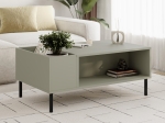 ΤΡΑΠΕΖΑΚΙ ΣΑΛΟΝΙΟΥ VENA MEGAPAP ΧΡΩΜΑ ASH GREEN 100X60X42ΕΚ.