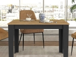 ΤΡΑΠΕΖΙ DARLEN MEGAPAP ΧΡΩΜΑ ΑΝΘΡΑΚΙ - SAPPHIRE OAK 110X72X74ΕΚ.