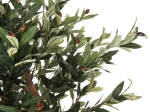 ΔΙΑΚΟΣΜΗΤΙΚΟ ΣΥΝΘΕΤΙΚΟ ΦΥΤΟ HM4007 ΕΛΑΙΟΔΕΝΤΡΟ ΣΕ ΓΛΑΣΤΡΑ 96Υεκ.