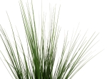 ΔΙΑΚΟΣΜΗΤΙΚΟ ΣΥΝΘΕΤΙΚΟ ΦΥΤΟ HM4013 GRASS ΣΕ ΓΛΑΣΤΡΑ Φ11,5x11,5-90Υεκ.