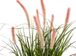 ΔΙΑΚΟΣΜΗΤΙΚΟ ΣΥΝΘΕΤΙΚΟ ΦΥΤΟ HM4029 BRISTLEGRASS ΣΕ ΓΛΑΣΤΡΑ Φ14,5x13-62Yεκ.