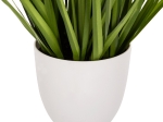 ΔΙΑΚΟΣΜΗΤΙΚΟ ΣΥΝΘΕΤΙΚΟ ΦΥΤΟ HM4029 BRISTLEGRASS ΣΕ ΓΛΑΣΤΡΑ Φ14,5x13-62Yεκ.