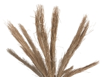 ΔΙΑΚΟΣΜΗΤΙΚΟ ΔΕΝΤΡΟ TROPIC HM4322 τ.ΦΟΙΝΙΚΑ ΑΠΟ MENDONG GRASS 360Yεκ.