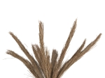 ΔΙΑΚΟΣΜΗΤΙΚΟ ΔΕΝΤΡΟ TROPIC HM4324 τ.ΦΟΙΝΙΚΑ ΑΠΟ MENDONG GRASS 280Yεκ.