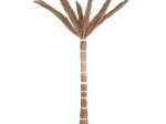 ΔΙΑΚΟΣΜΗΤΙΚΟ ΔΕΝΤΡΟ TROPIC HM4324 τ.ΦΟΙΝΙΚΑ ΑΠΟ MENDONG GRASS 280Yεκ.