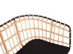 ΠΑΓΚΑΚΙ ΔΙΘΕΣΙΟ ALLEGRA HM5692.11 P.E.RATTAN ΜΠΕΖ-ΜΑΥΡΟΣ ΜΕΤΑΛ.ΣΚΕΛΕΤΟΣ 125x60x77Υεκ
