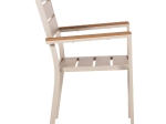 ΠΟΛΥΘΡΟΝΑ ΑΛΟΥΜΙΝΙΟΥ SAGA HM5981.04 ΣΑΜΠΑΝΙ-POLYWOOD ΣΕ ΦΥΣΙΚΟ 55x55x86Υεκ.