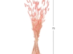 ΔΙΑΚΟΣΜΗΤΙΚΟ ΜΠΟΥΚΕΤΟ ΑΠΟΞΗΡΑΜΕΝΟ HM7960 RABBIT TAIL-PINK 75Υεκ.