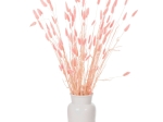 ΔΙΑΚΟΣΜΗΤΙΚΟ ΜΠΟΥΚΕΤΟ ΑΠΟΞΗΡΑΜΕΝΟ HM7960 RABBIT TAIL-PINK 75Υεκ.