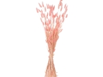 ΔΙΑΚΟΣΜΗΤΙΚΟ ΜΠΟΥΚΕΤΟ ΑΠΟΞΗΡΑΜΕΝΟ HM7960 RABBIT TAIL-PINK 75Υεκ.