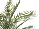 ΔΙΑΚΟΣΜΗΤΙΚΟ ΣΥΝΘΕΤΙΚΟ ΦΥΤΟ HM7970 KWAI TREE ΣΕ ΓΛΑΣΤΡΑ Φ17x14,5-155Υεκ.